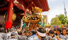 Japan Visitor - sanja_matsuri_2019-9.jpg