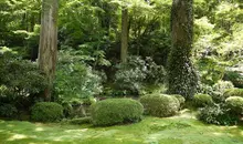 Japan Visitor - sanzen-in-1.jpg