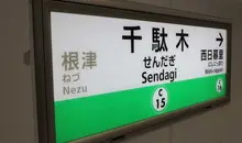 Japan Visitor - sendagi1.jpg