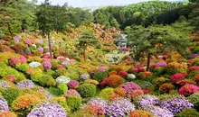 Japan Visitor - shiofunekannon7.jpg