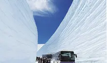 Japan Visitor - snow-corridor.jpg