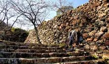 Japan Visitor - sumotocastle3.jpg