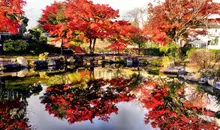 Japan Visitor - tanabe-castle-2017-5.jpg