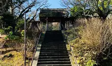 Japan Visitor - tokeijitemple20191.jpg