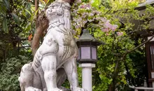 Japan Visitor - torigoe-jinja-x.jpg