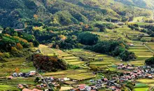 Japan Visitor - tsuwano-castle-2.jpg