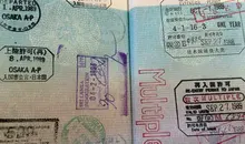 Japan Visitor - visa2091.jpg