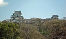 Japan Visitor - wakayama-castle-778.jpg