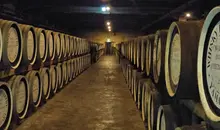 Japan Visitor - yamazakiwhisky9.jpg