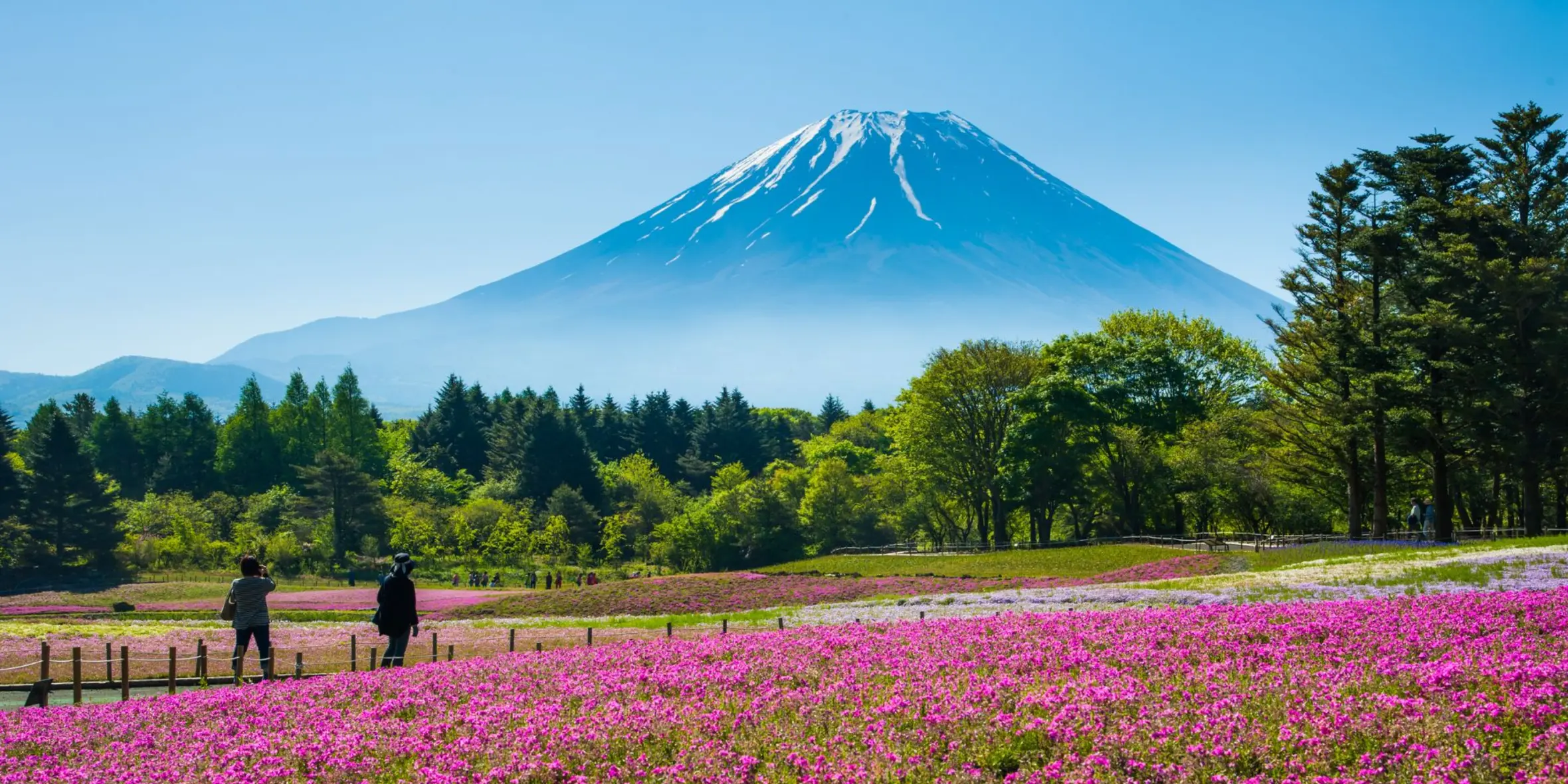 excursion japon japan experience mount fuji