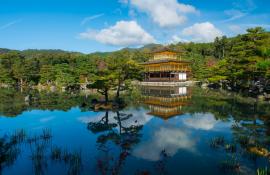 Visit gold temple Kinkakuji in Kyoto