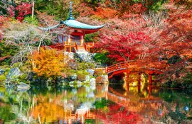 Temple in Kyoto during Fall season