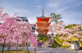 Temple Kiyomizu-dera et cerisiers en fleurs (sakura) à Kyoto, Japon