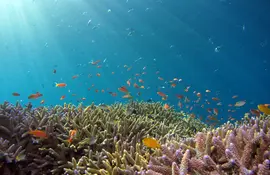 La plage de Kabira sur l’île d’Ishigaki fait sans aucun doute partie des plus magiques. Un véritable petit paradis !