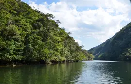 L'isola di Iriomote è uno degli ultimi paradisi selvaggi del Giappone