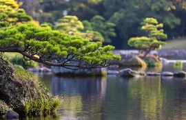 Campiña japonesa en la isla de Kyushu en Japón, cerca de Kumamoto