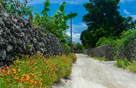 The island village of Taketomi, in the Okinawa archipelago is to be explored by bike or on foot. 