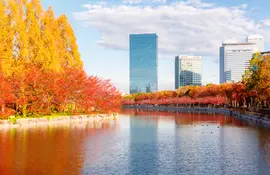 Buildings in Tokyo in autumn