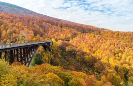 Brücke zwischen Wald während der Herbstsaison, Präfektur Aomori