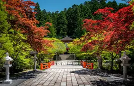 Die Natur ist überall auf dem heiligen Berg Koyasan in Japan