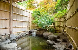 Onsen extérieur "rotemburo", source chaude japonaise