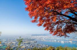 The town of Takamatsu, by the inland sea facing Naoshima Island, is worth a visit