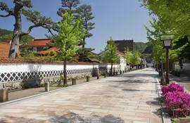 Das traditionelle Dorf Tsuwano mit seinen Ginkgobäumen