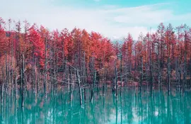 Estanque azul en Hokkaido