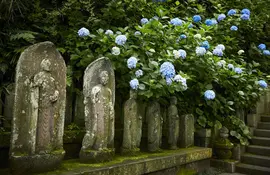 Le temple Hasedera, à Kamakura : jardin fleuri, vue sur la mer ou encore statue à onze têtes !