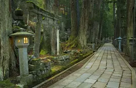 Ein Weg durch den alten buddhistischen Friedhof von Okunoin in Koyasan