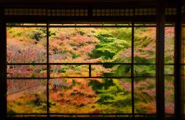 Temple in Kyoto with amazing autumn foliage