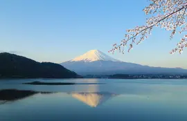 Mount Fuji during cherry blossom (Sakura)