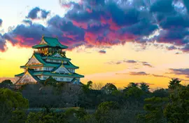 Le château d'Osaka au Japon est entouré d'un parc avec de nombreux pruniers et cerisiers en fleur