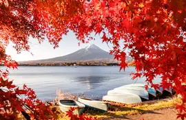 Le Mont Fuji depuis le lac Kawaguchiko