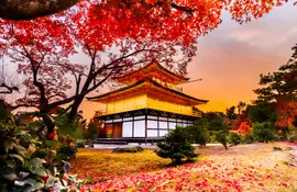 Le pavillon d'or à Kyoto, un incontournable à visiter dans l'ancienne capitale du Japon