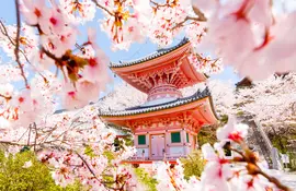 Pagoda on top of Mount Tsubosaka famous for its cherry blossoms