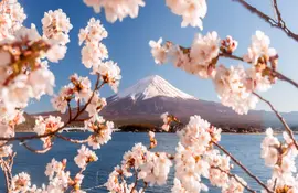 Mount Fuji from Lake Kawaguchi