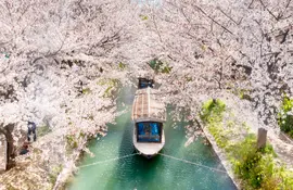 The path of philosophy in springtime in Kyoto