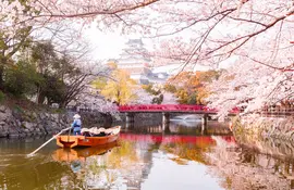 Himeji Castle, World Heritage Site, under the cherry blossoms