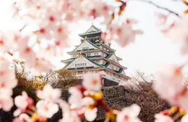 The majestic Osaka Castle in spring