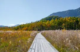 Senjogahara Marshland