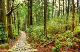 The Kumano Kodo, Kii Peninsula