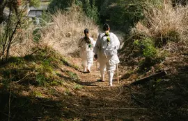 Pilgrims walking down the Kumano Kodo