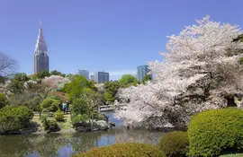 Shinjuku Gyoen National Garden