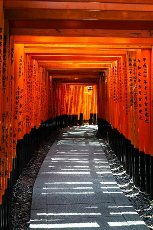 Torii tunnel of Fushimi Inari, Kyoto