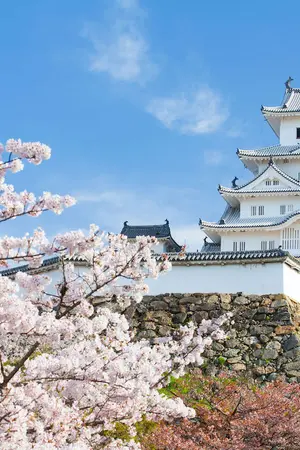 Castello di Himeji, patrimonio mondiale dell'UNESCO, facile accesso da Kyoto per un'escursione 