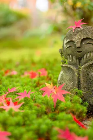 Rotes Ahornblatt auf einer kleinen buddhistischen Mönchsstatue (Jizo) im japanischen Garten