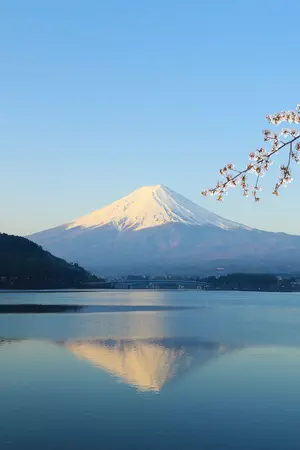 Mount Fuji während der Kirschblüte (Sakura)