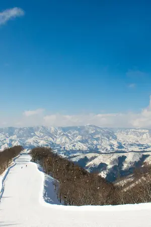 Ski slope in Nozawa Onsen ski resort, in the Japanese Alps