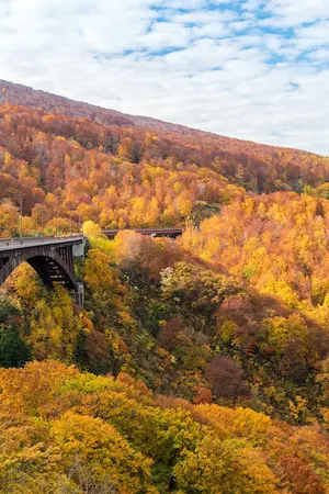 Bridge surrounded by autumn leaves, Aomori